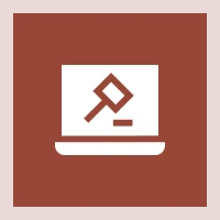 Real-Time Online Bidding