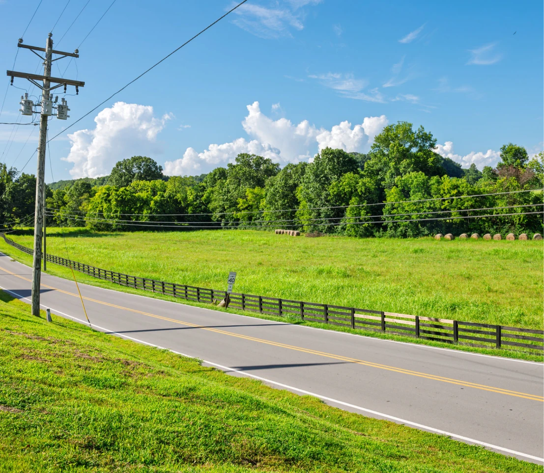 Country road with green fields and trees.
